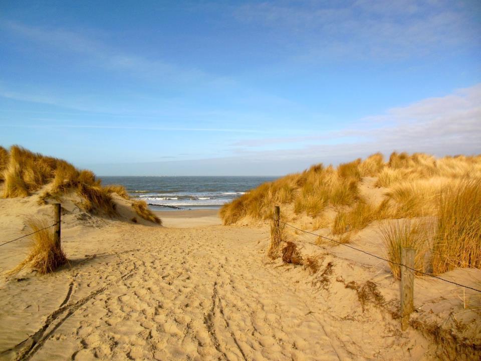 Zeeduin, Met Zonnig Terras - Volledige Keuken- Resort Amelander Kaap, Incl Verwarmd Hotel-Zwembad Nabij Dorp, Duinen En Strand هولوم المظهر الخارجي الصورة