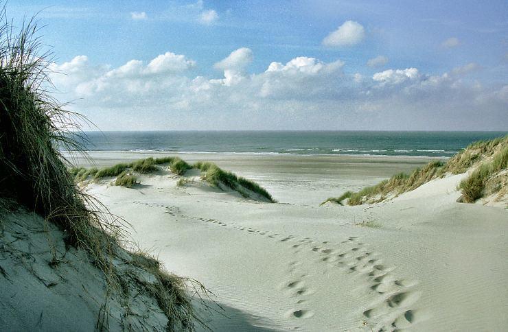 Zeeduin, Met Zonnig Terras - Volledige Keuken- Resort Amelander Kaap, Incl Verwarmd Hotel-Zwembad Nabij Dorp, Duinen En Strand هولوم المظهر الخارجي الصورة